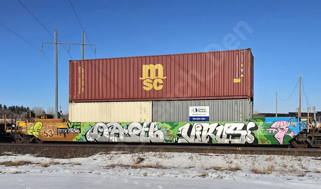 DTTX732566 - NORTH-AMERICA