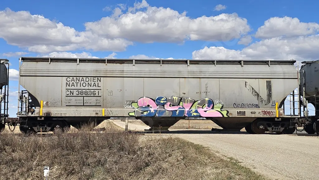 CN388361 - NORTH-AMERICA