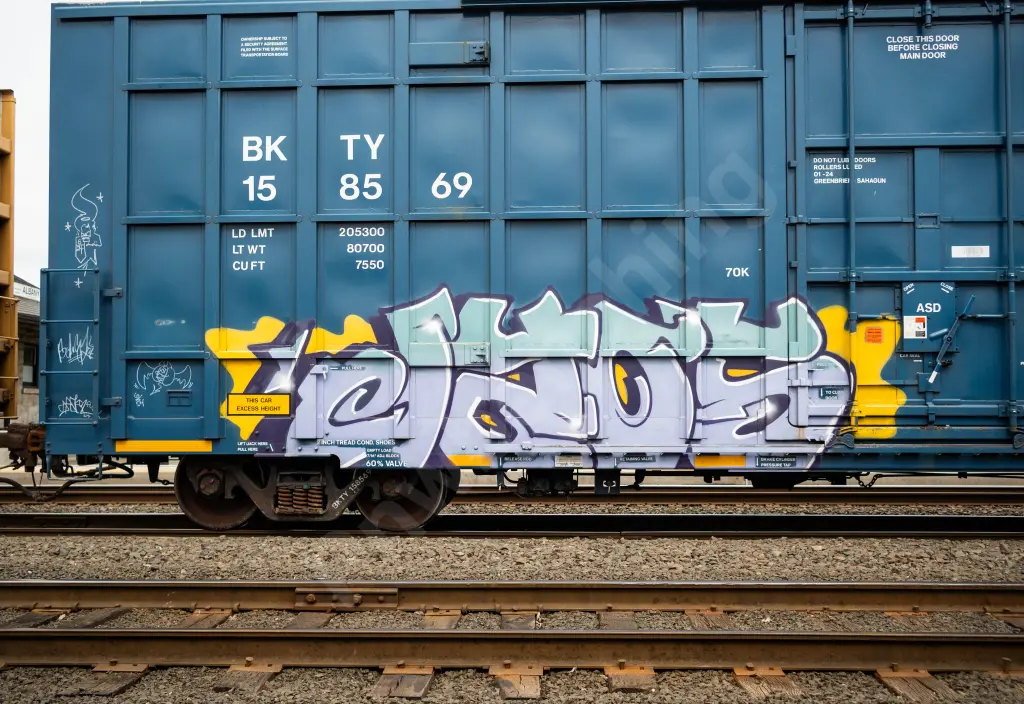 BKTY158569 - NORTH-AMERICA
