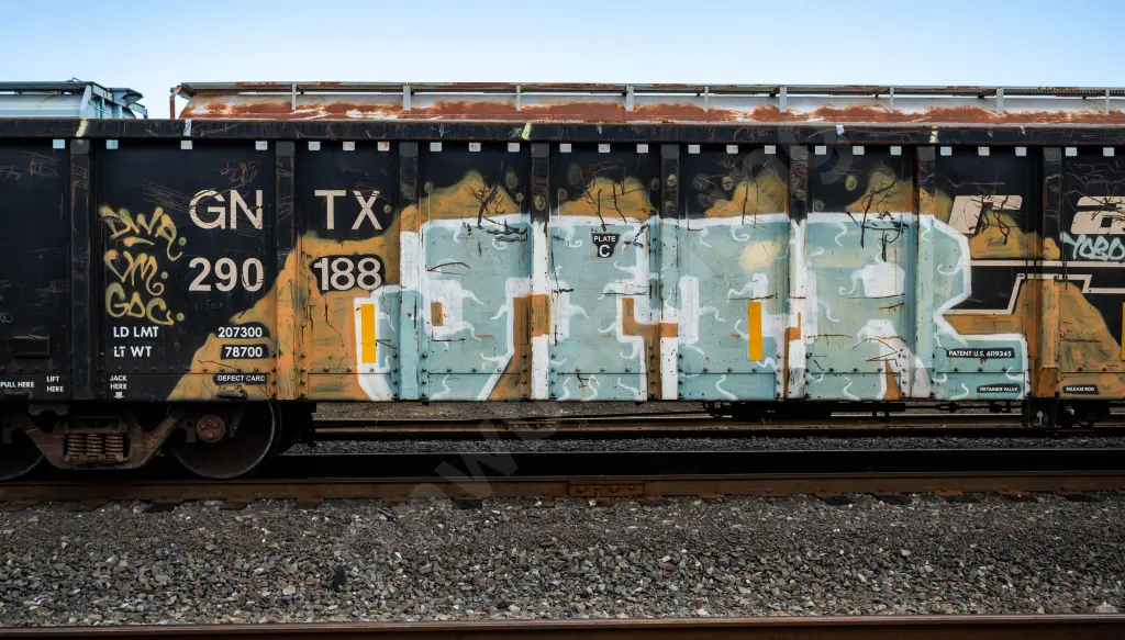 GNTX290188 - NORTH-AMERICA