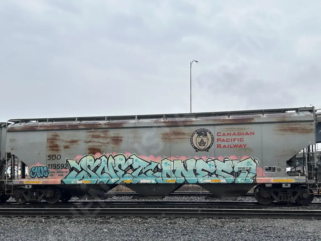 SOO119592 - NORTH-AMERICA