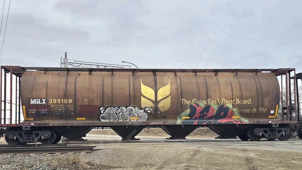 MGLX395189 - NORTH-AMERICA