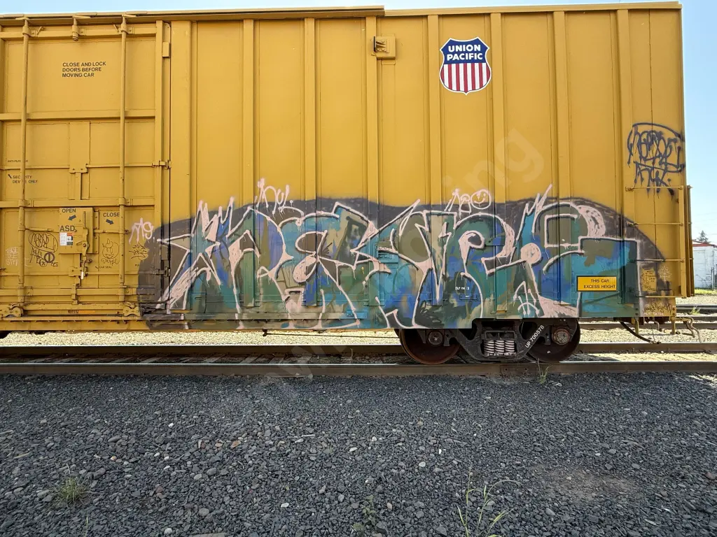 UP700578 - NORTH-AMERICA