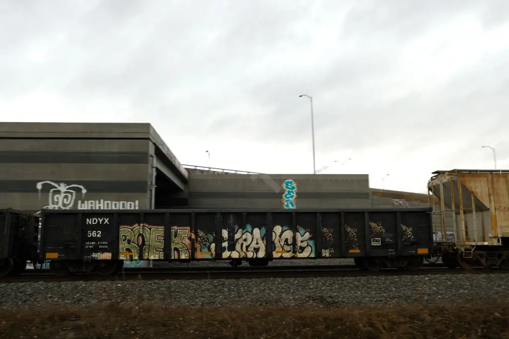 NDYX562 - NORTH-AMERICA