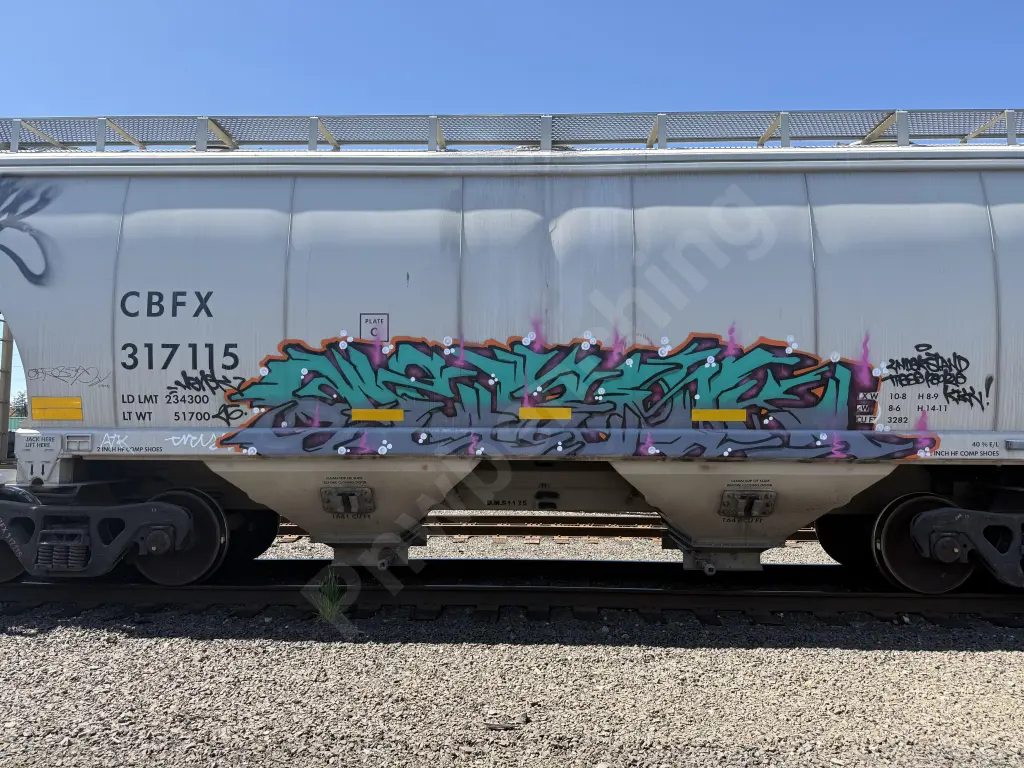CBFX317115 - NORTH-AMERICA