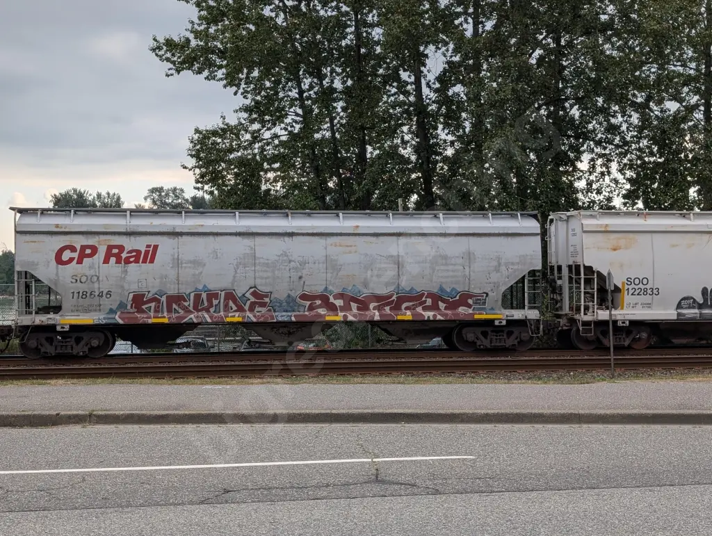 SOO118646 - NORTH-AMERICA