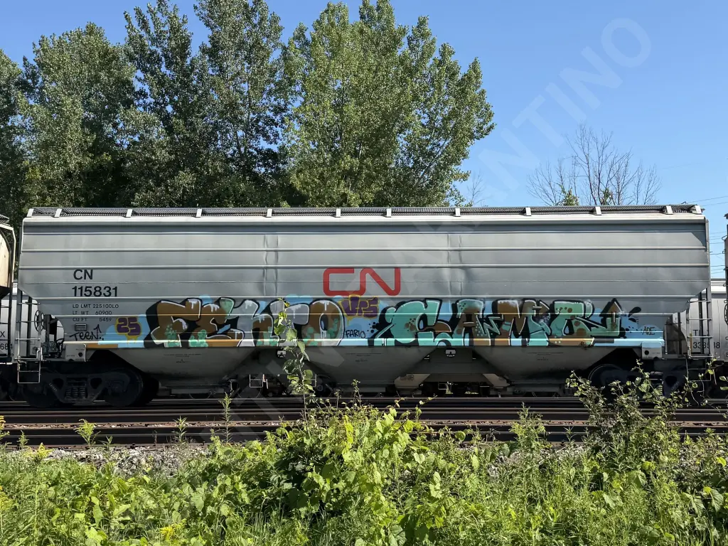 CN115831 - NORTH-AMERICA