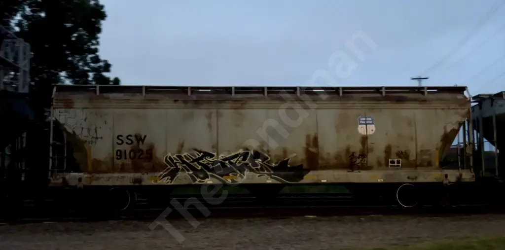 SSW91025 - NORTH-AMERICA
