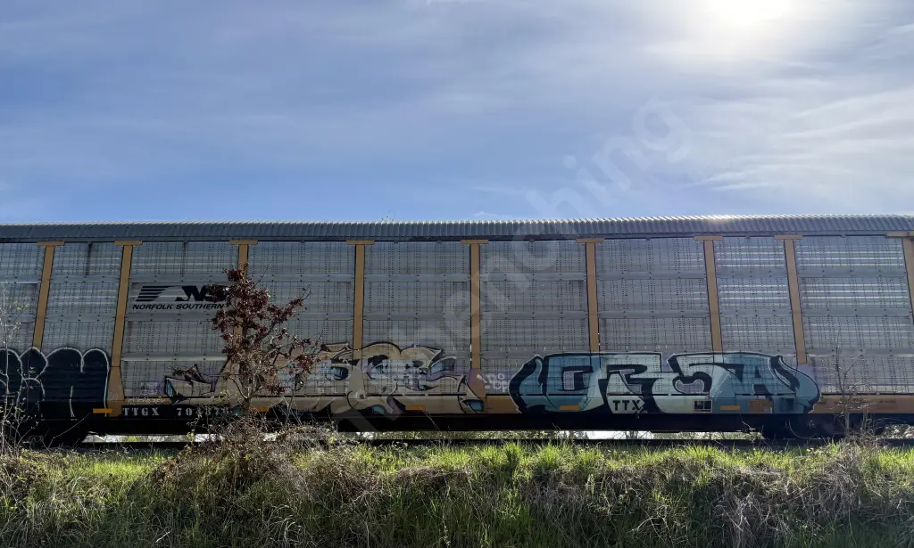 TTGX704876 - NORTH-AMERICA