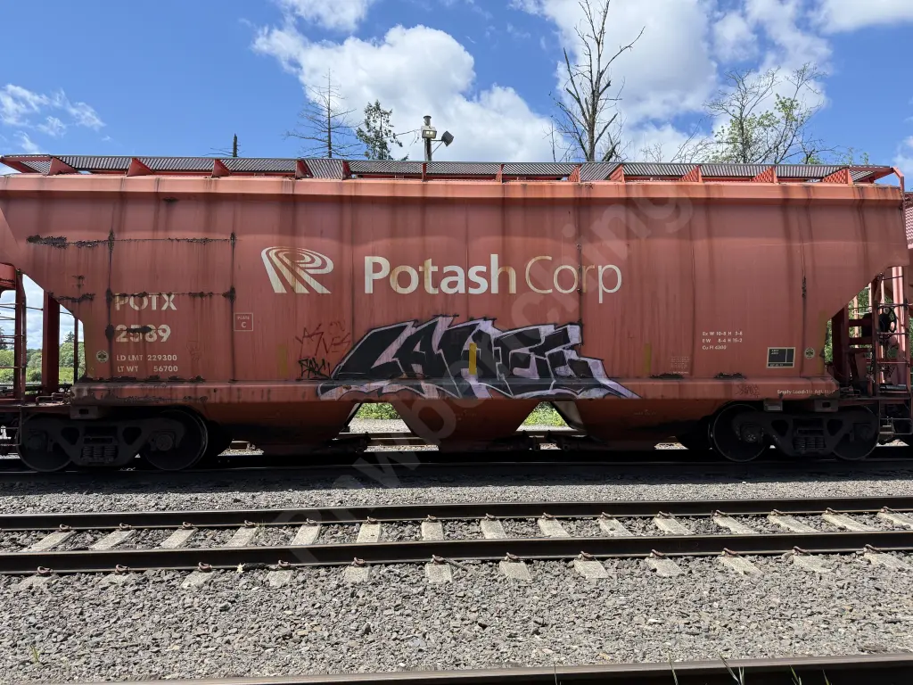 Train photo