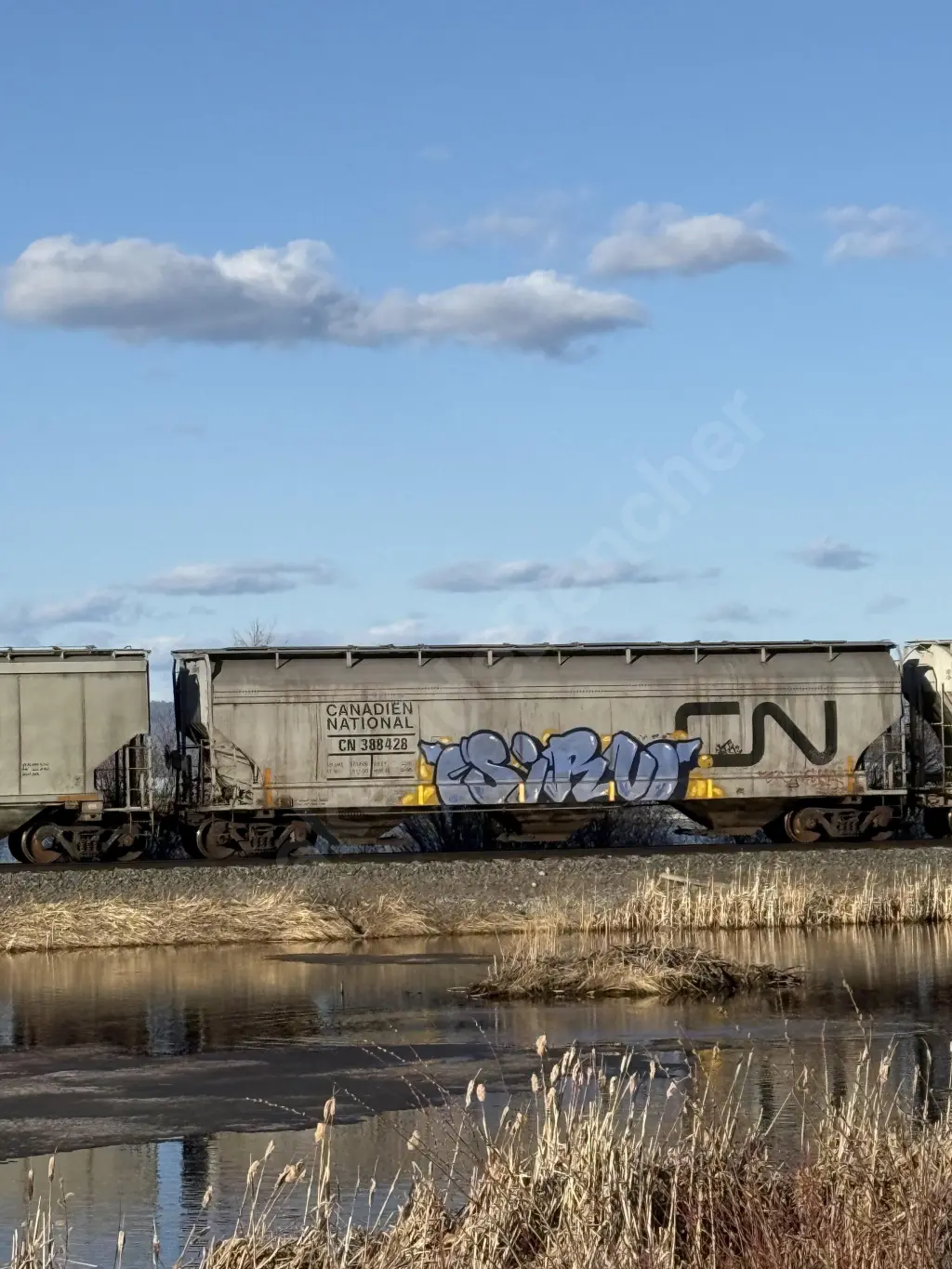 CN388428 - NORTH-AMERICA
