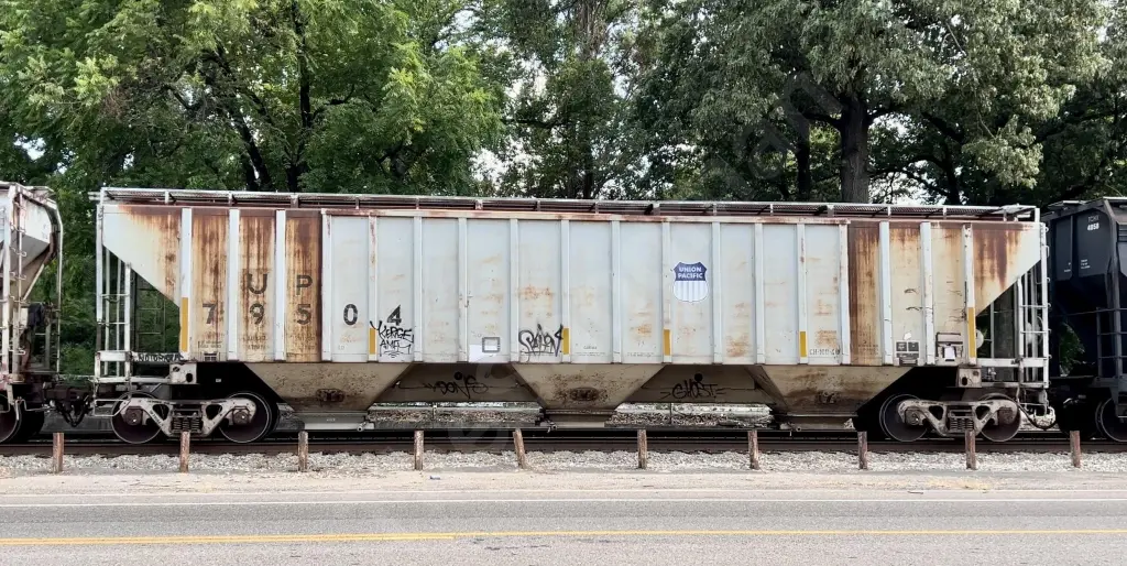 UP79504 - NORTH-AMERICA