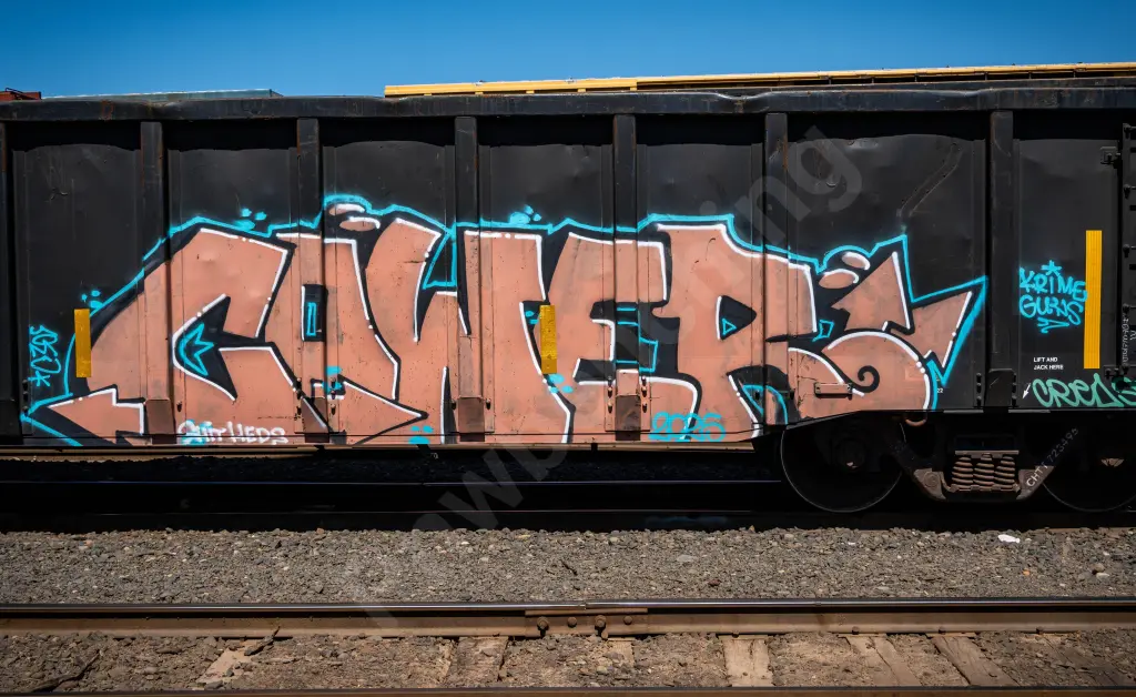 CHTT723496 - NORTH-AMERICA