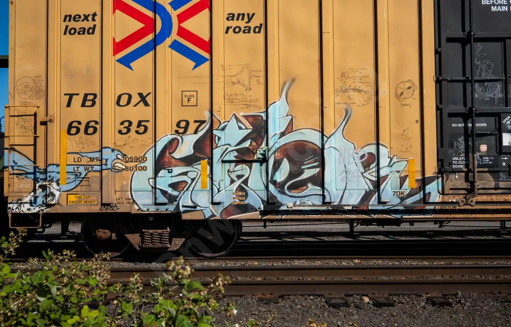 Train photo