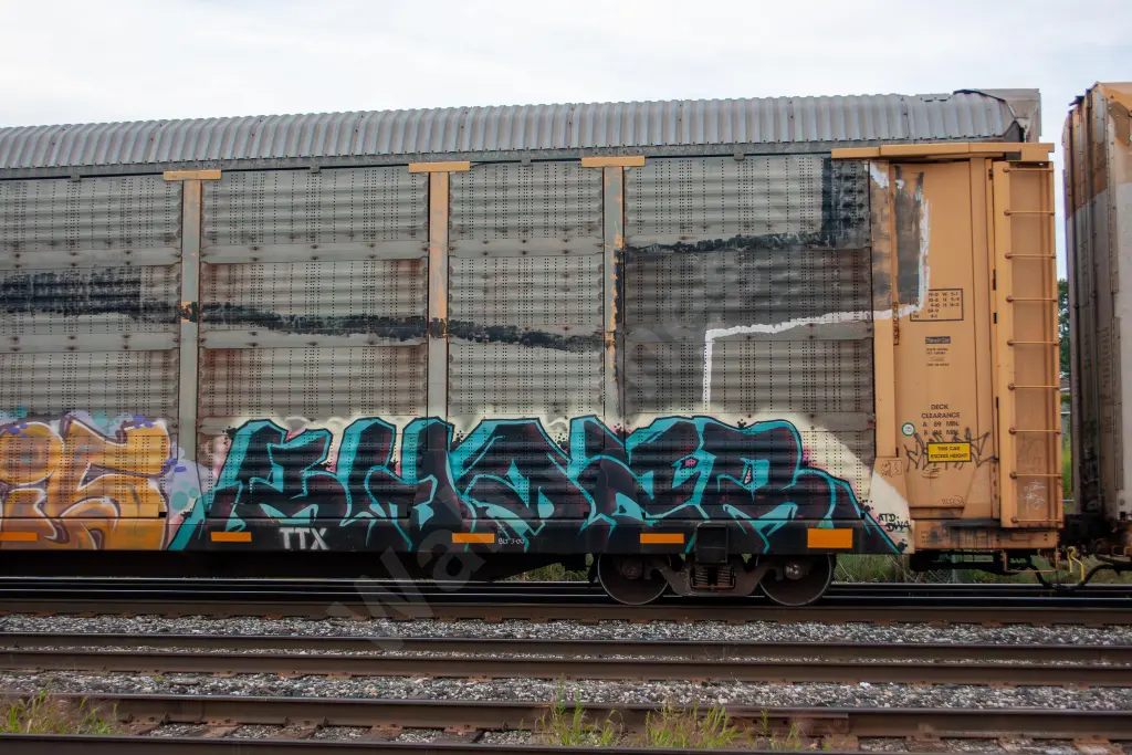 TTGX988429 - NORTH-AMERICA