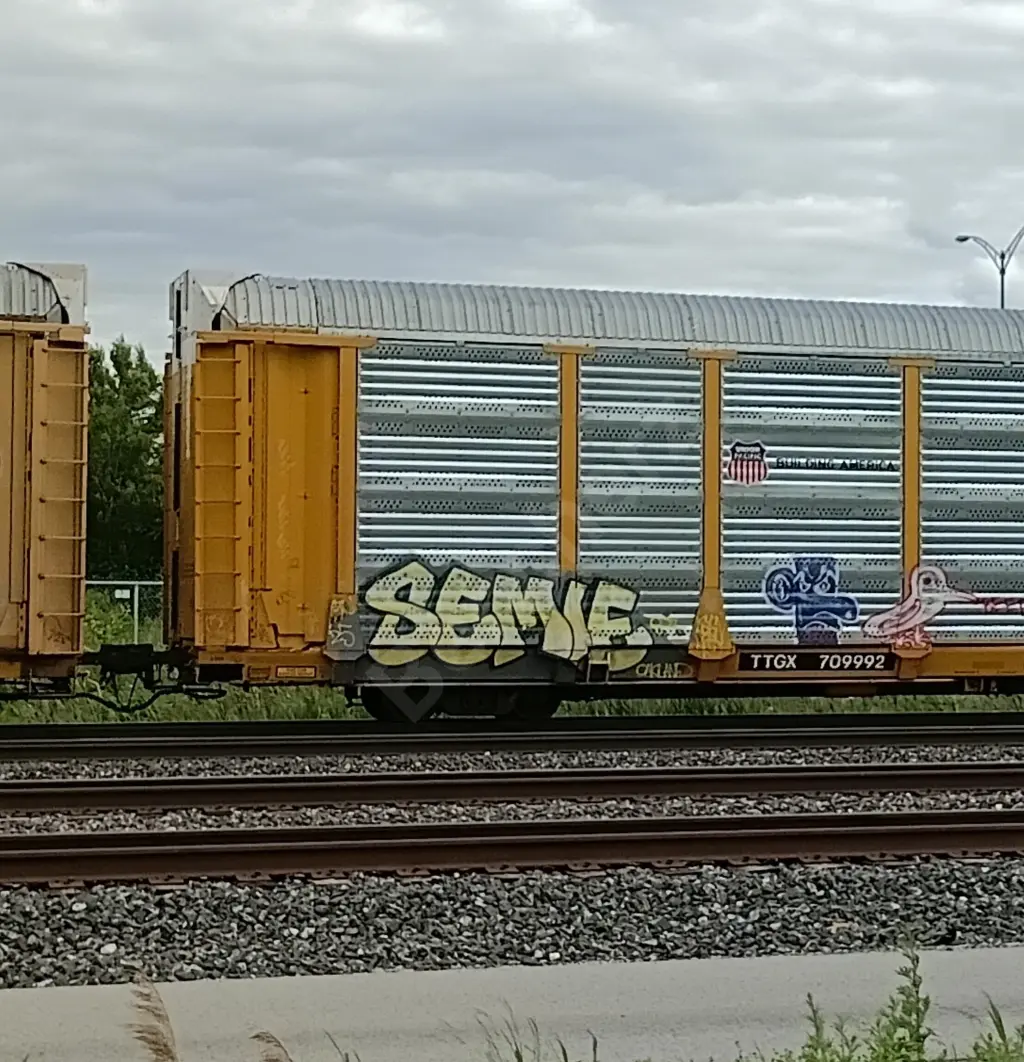 TTGX709992 - NORTH-AMERICA