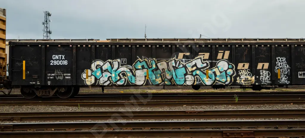 GNTX290016 - NORTH-AMERICA