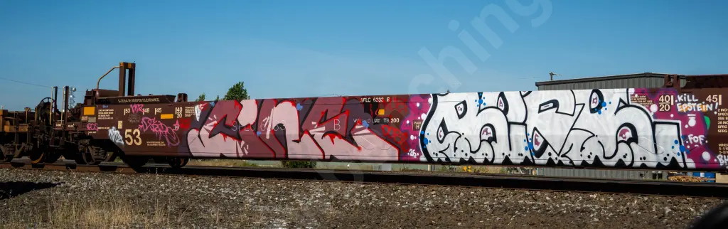 SFLC6333 - NORTH-AMERICA