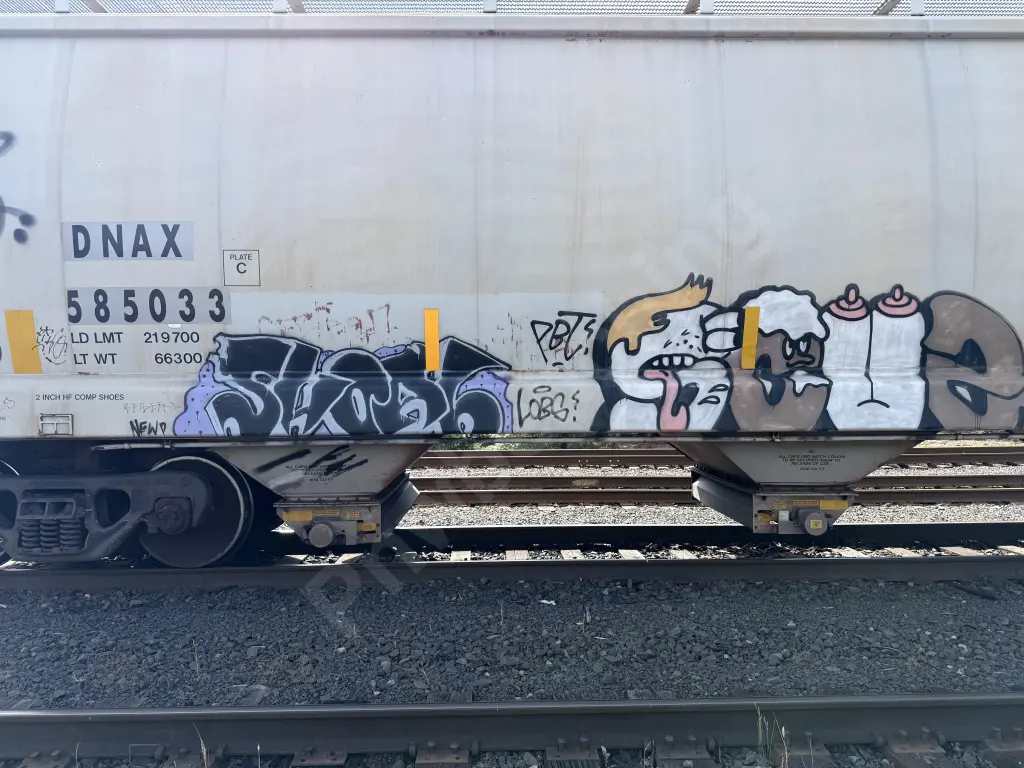 DNAX585033 - NORTH-AMERICA