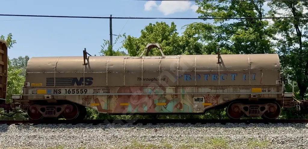 NS165559 - NORTH-AMERICA