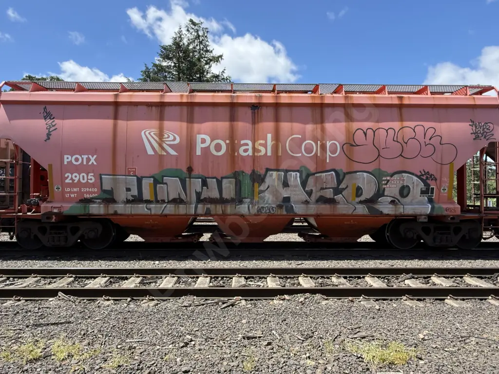 POTX2905 - NORTH-AMERICA