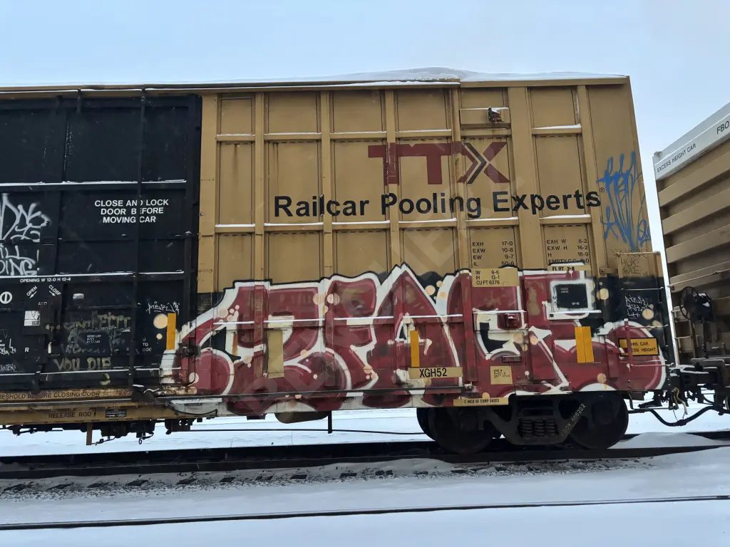FBOX506202 - NORTH-AMERICA