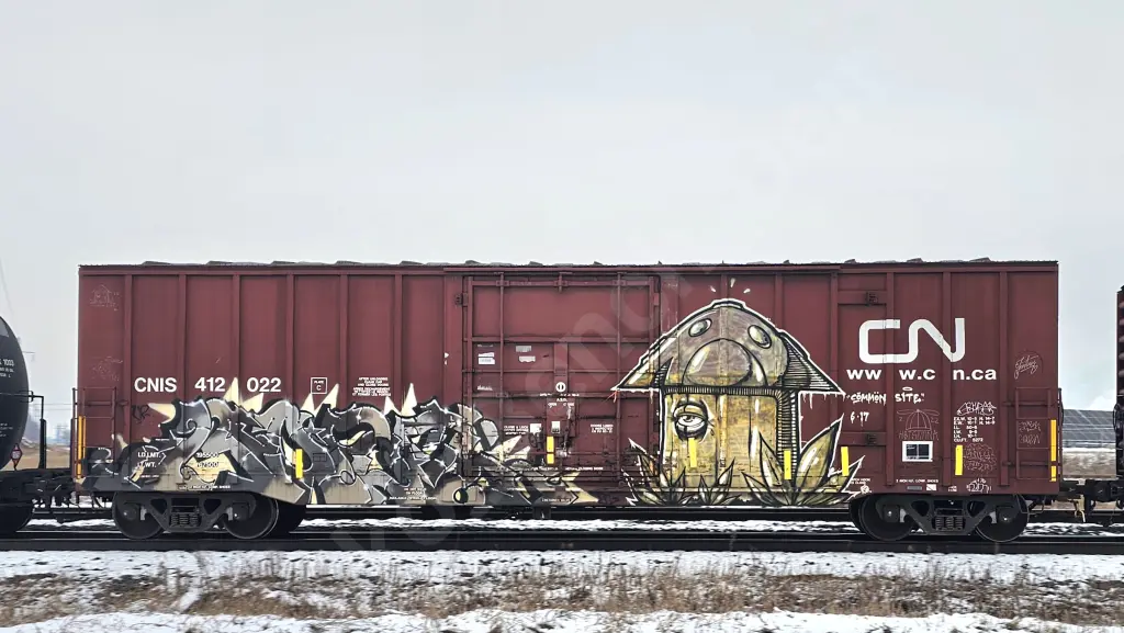 CNIS412022 - NORTH-AMERICA