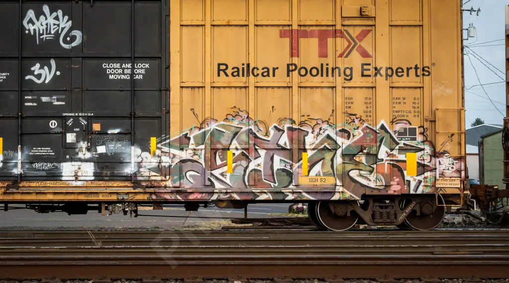 FBOX506342 - NORTH-AMERICA