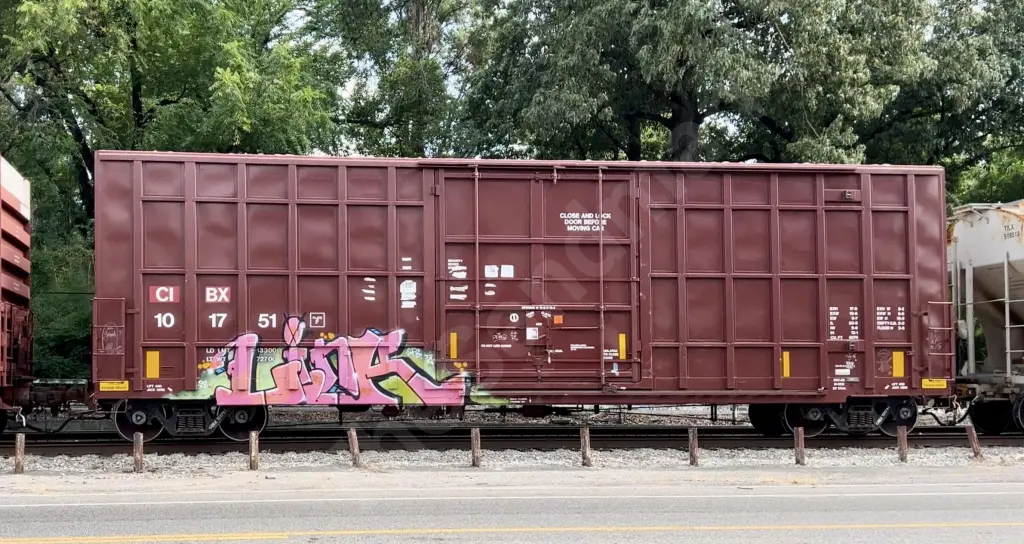 CIBX101751 - NORTH-AMERICA