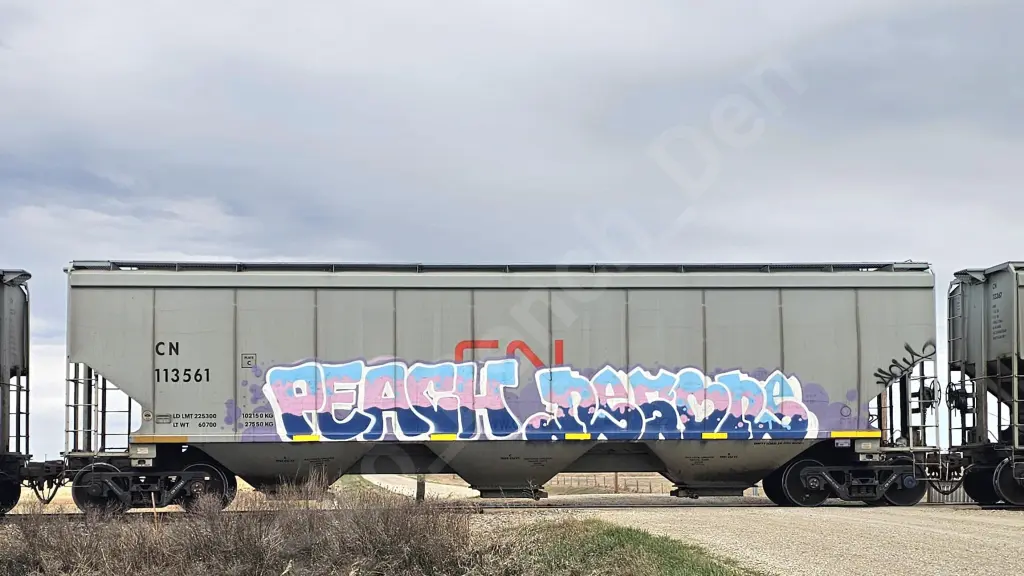 CN113561 - NORTH-AMERICA