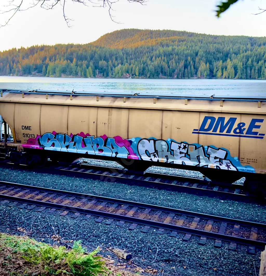 DME51013 - NORTH-AMERICA