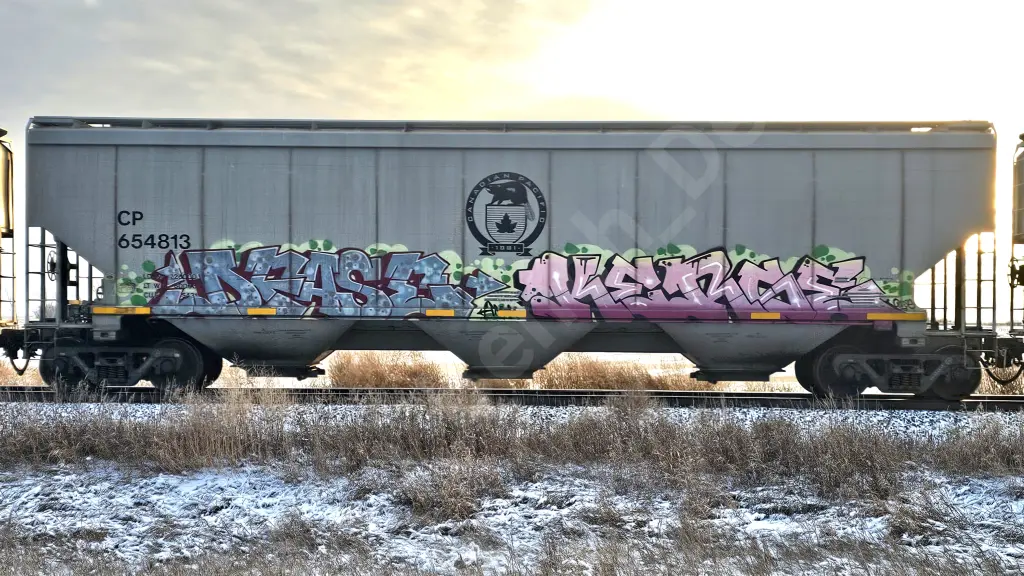 CP654813 - NORTH-AMERICA