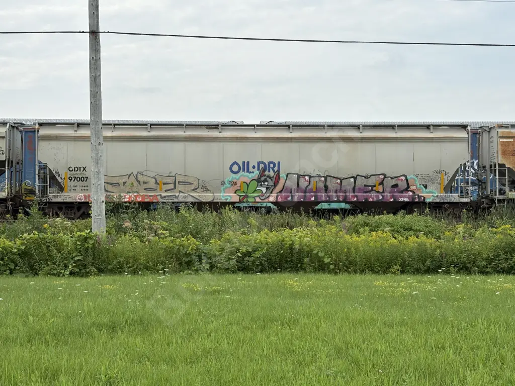ODTX97007 - NORTH-AMERICA
