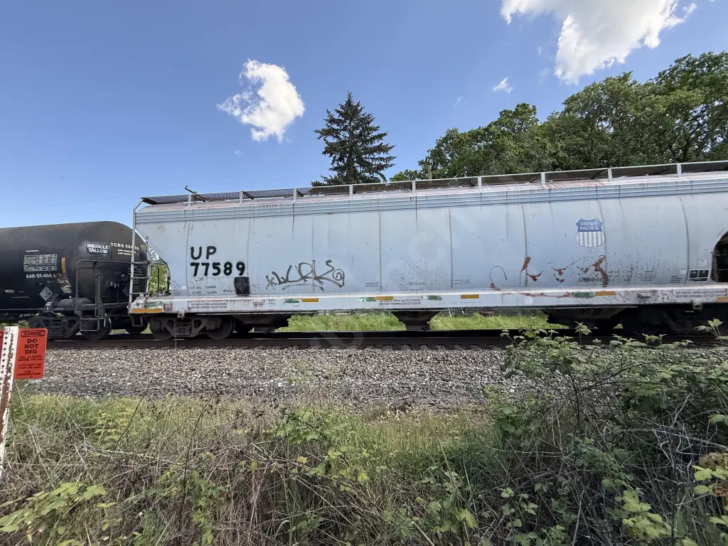 UP77589 - NORTH-AMERICA