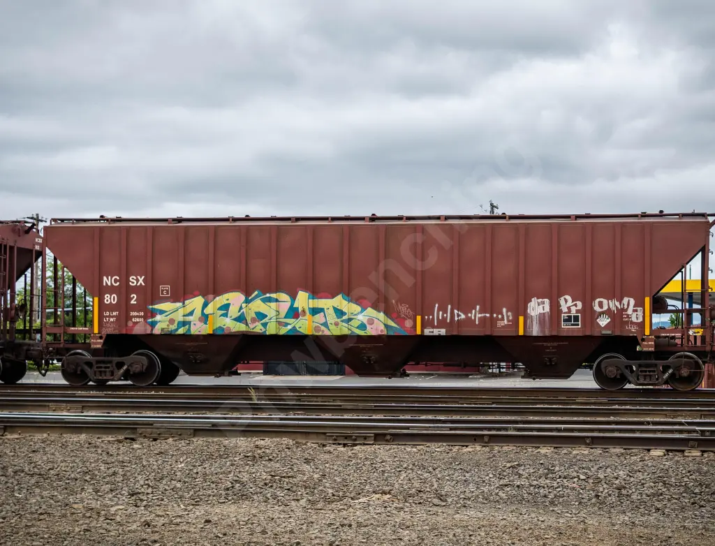 NCSX802 - NORTH-AMERICA