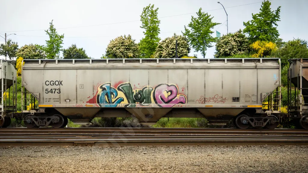 CGOX5473 - NORTH-AMERICA