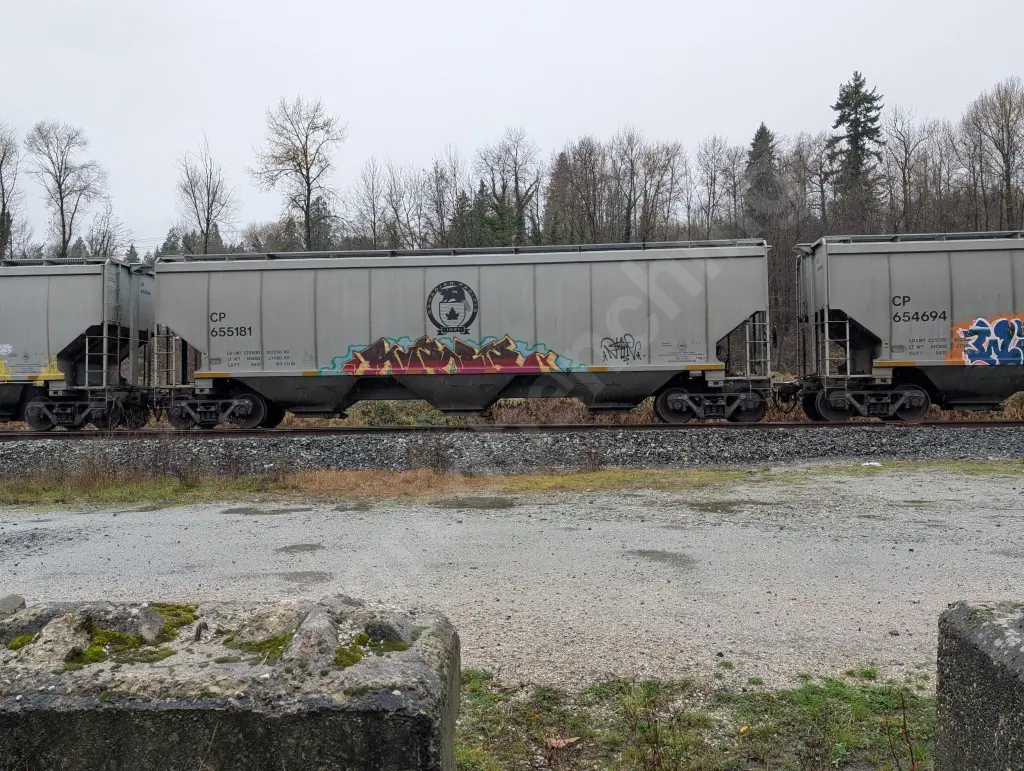 CP655181 - NORTH-AMERICA