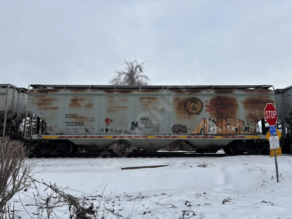 SOO122390 - NORTH-AMERICA