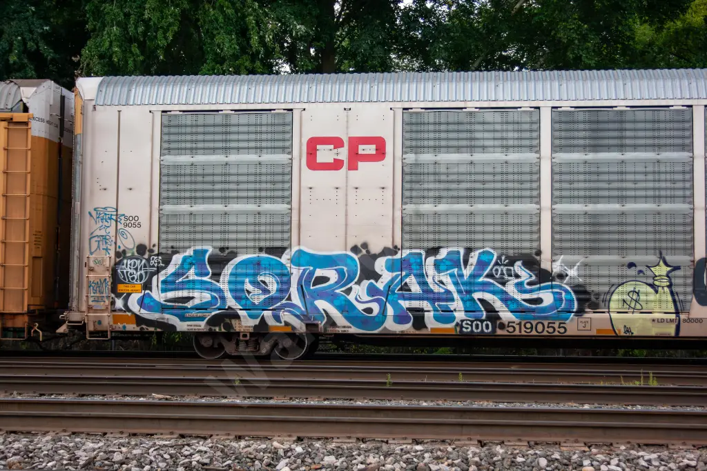 SOO519055 - NORTH-AMERICA
