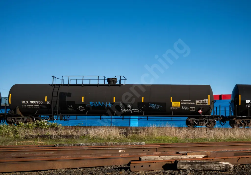 TILX308956 - NORTH-AMERICA