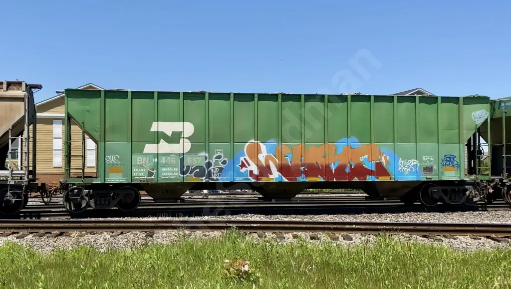 BN446657 - NORTH-AMERICA