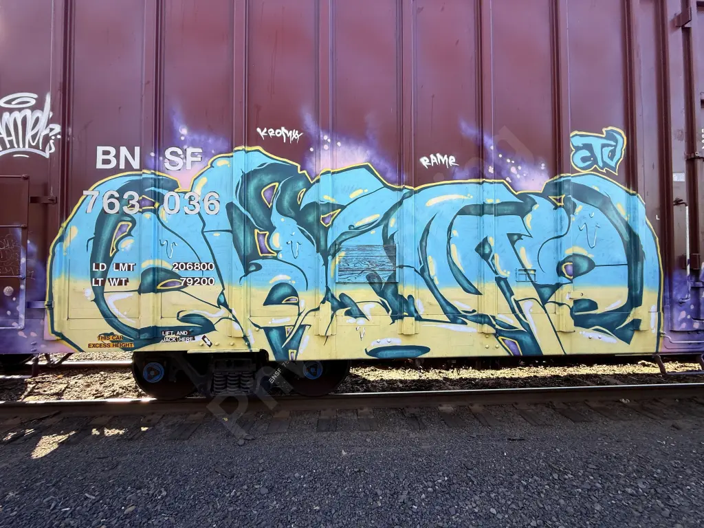 BNSF763036 - NORTH-AMERICA