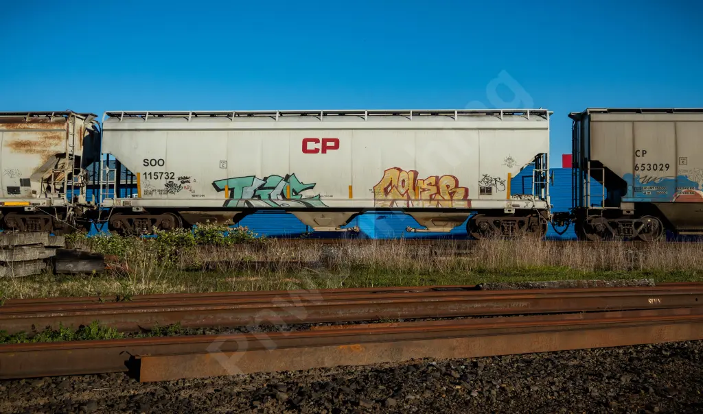 SOO115732 - NORTH-AMERICA