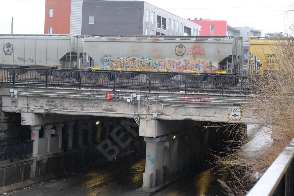 SOO122486 - NORTH-AMERICA