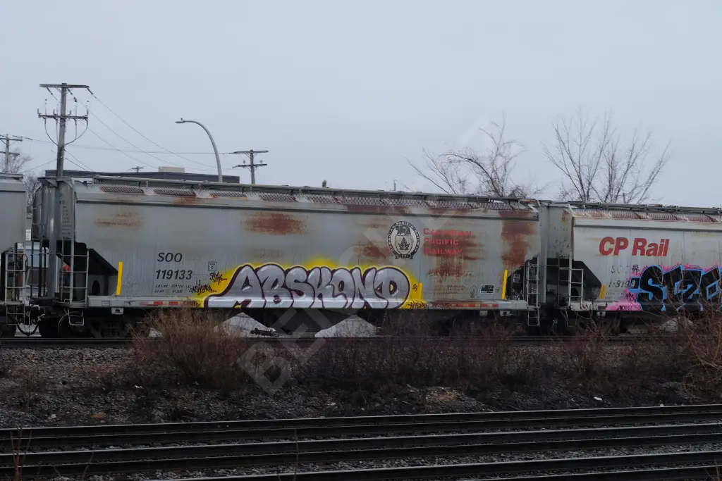 SOO119133 - NORTH-AMERICA