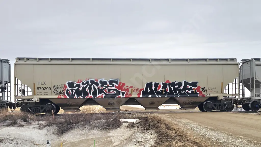 TILX570209 - NORTH-AMERICA