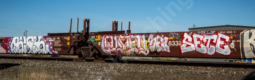 SFLC6333 - NORTH-AMERICA