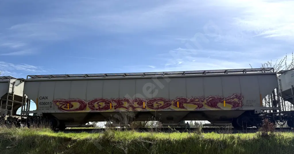CAIX636015 - NORTH-AMERICA