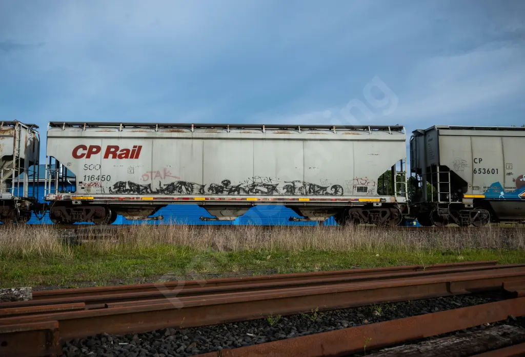 SOO116450 - NORTH-AMERICA