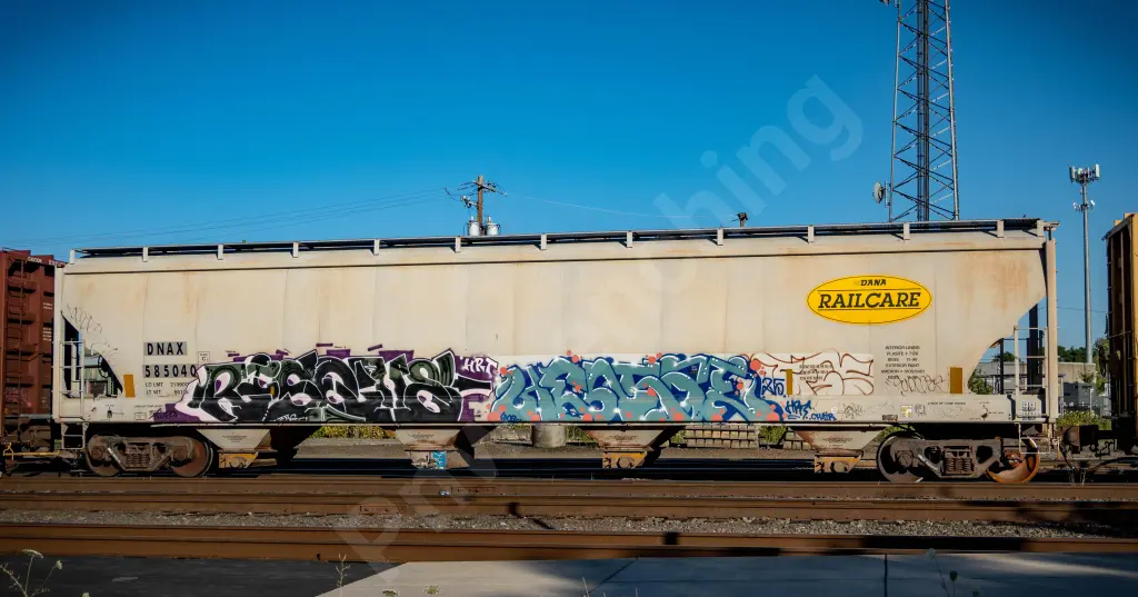 DNAX585040 - NORTH-AMERICA